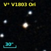 V* V1803 Ori