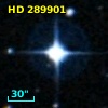 HD 289901
