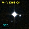 V* V1363 Ori