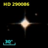 HD 290086