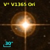 V* V1365 Ori