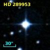 HD 289953