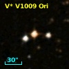 V* V1009 Ori