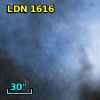 LDN 1616