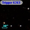 Trigger  6263