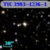 TYC 3983-1236-1