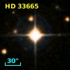 HD  33665