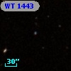 WT 1443