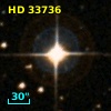 HD  33736