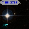 ** HEI  3787