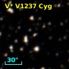 V* V1237 Cyg