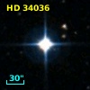 HD  34036