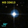 HD  33613
