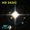 HD  34242