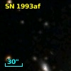 SN 1993af