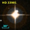 HD  33981