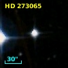 HD 273065