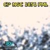 Cl* NGC 1851    PML      13