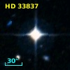 HD  33837