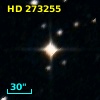 HD 273255