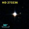 HD 273236