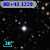 BD+43  1229