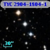 TYC 2904-1804-1