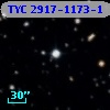 TYC 2917-1173-1