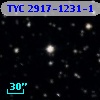 TYC 2917-1231-1