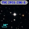 TYC 2921-236-1