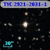 TYC 2921-2031-1