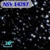NSV 14287