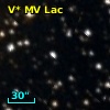 V* MV Lac