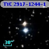 TYC 2917-1244-1