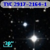 TYC 2917-2164-1