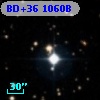 BD+36  1060B