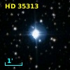 HD  35313
