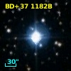 BD+37  1182B