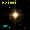 HD  34558