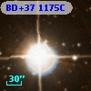 BD+37  1175C
