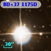BD+37  1175D