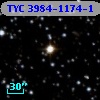 TYC 3984-1174-1