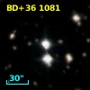 BD+36  1081