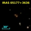 IRAS 05177+3636