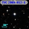 TYC 2909-852-1