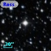 Ross  221