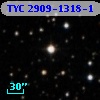TYC 2909-1318-1