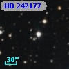 HD 242177