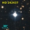 HD 242437