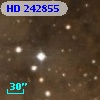 HD 242855